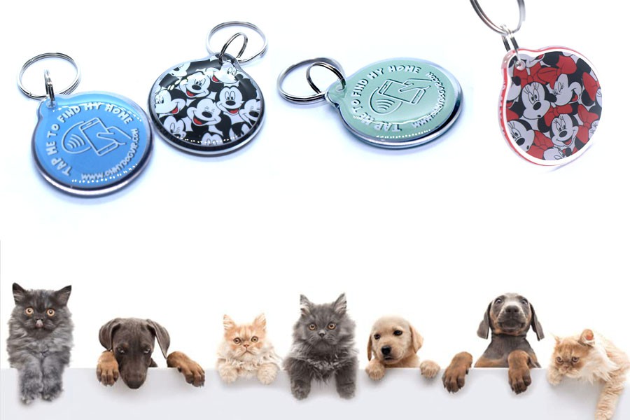cat dog id tag